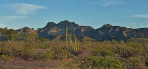 On the dirt road leading to Agua Verde, a tiny, remote fishing village south of Mulege.
