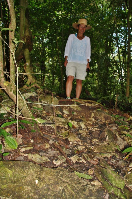 Nature takes back its own!  These rocks I’m standing on are really huge ruined buildings which have not been excavated.  There are thousands like this strewn throughout the jungles of the former Mayan empire.