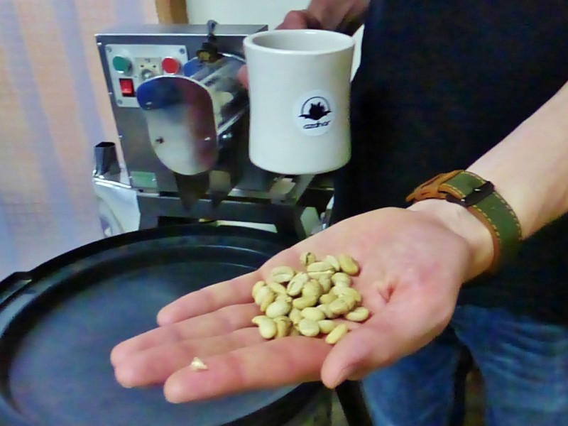 Raw coffee beans that have been shelled and washed and are now ready for roasting.