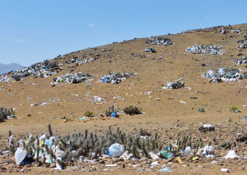 Leaving Huasco, we could see that garbage is a universal problem.