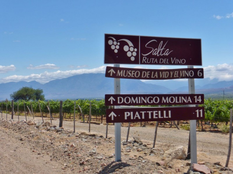 As many of you know, Argentina is famous for wine, and we found ourselves on the spectacularly scenic Ruta de Vino.
