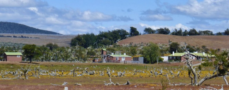 The Estancias (Ranches) in Patagonia are gorgeous.  Tidy and well kept, each ranch sported uniform colors on the roofs of their buildings.  Some roofs were bright red or yellow, some a mellow green like this one. 