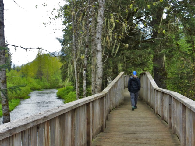 This walkway has been constructed along Fish Creek so tourists can safely view bears catching salmon in the creek. Unfortunately, we were too early in the season for the fish so there were no bears. Fortunately, there were no tourists either!