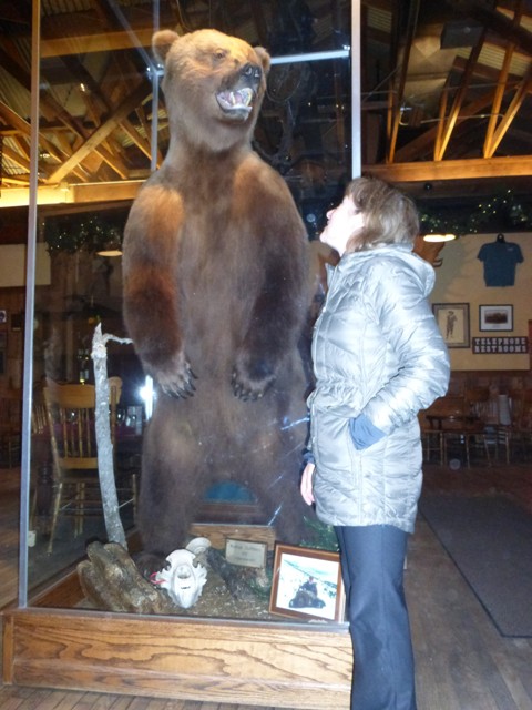 The closest we want to get to a grizzly.